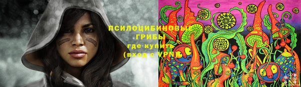 прущие крисы Балахна