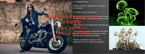 амф Баксан
