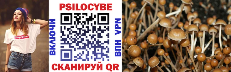 Псилоцибиновые грибы Cubensis  Онега 