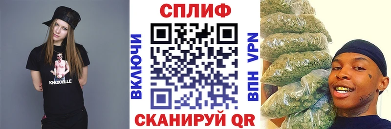 Каннабис сатива  Онега 